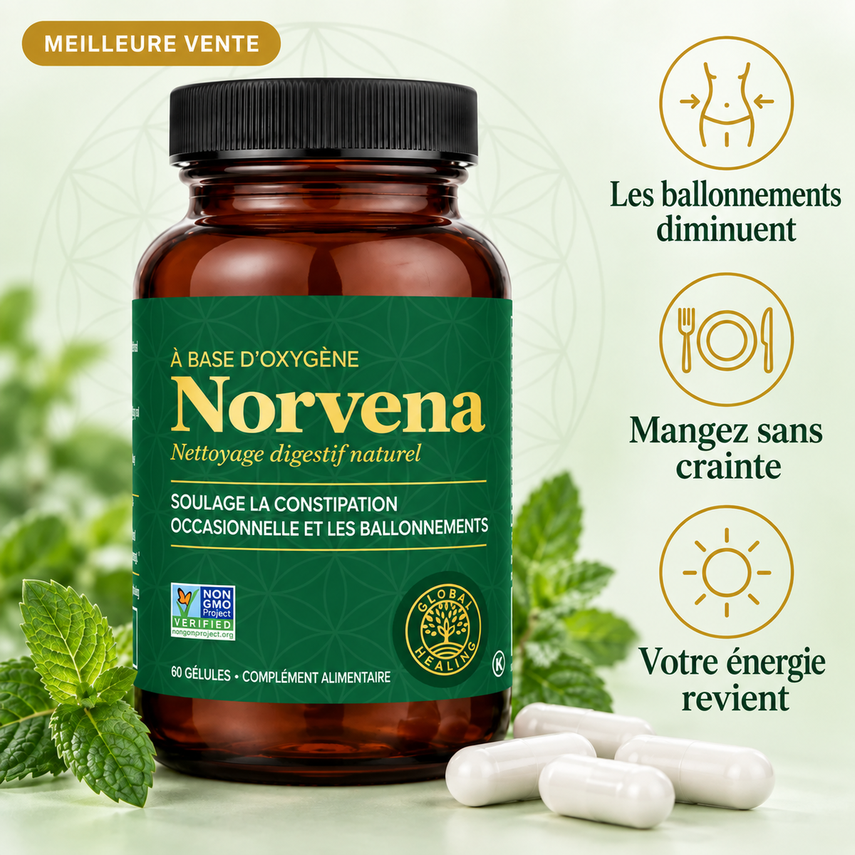 Norvena GutReset™ – Rééquilibrage Intestinal