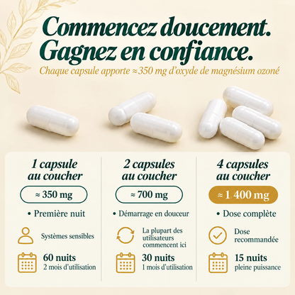 Norvena GutReset™ – Rééquilibrage Intestinal