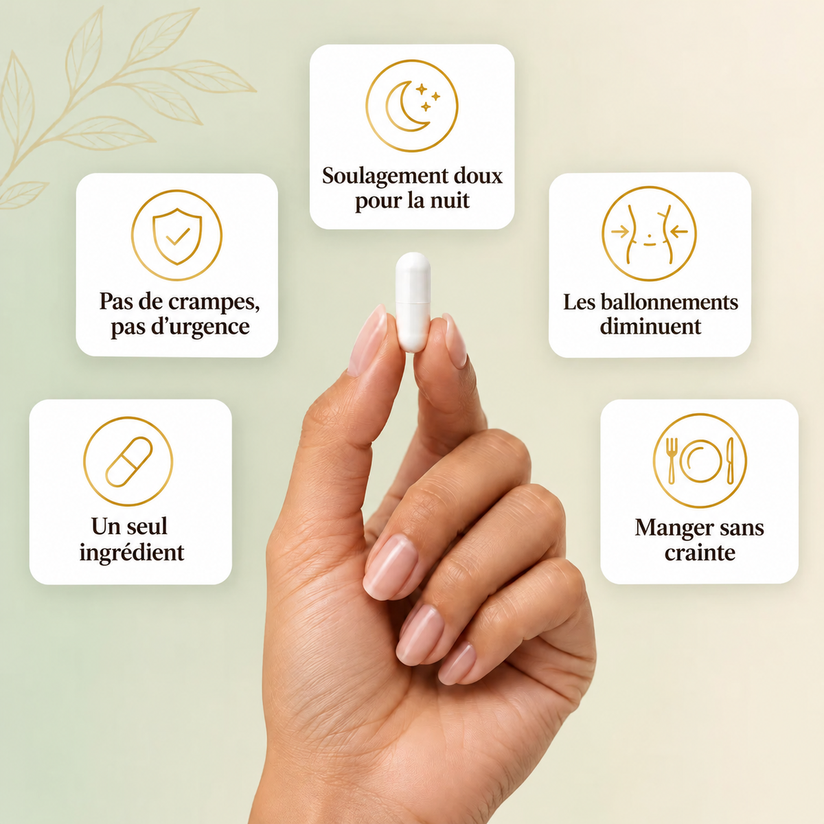 Norvena GutReset™ – Rééquilibrage Intestinal