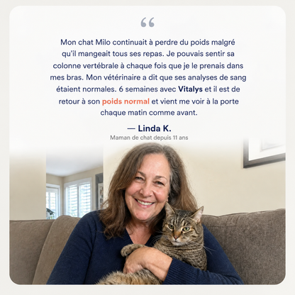 Vitalys™ – Gouttes de vitamine B12 pour chat